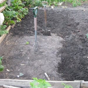 vegetable garden preparation 1