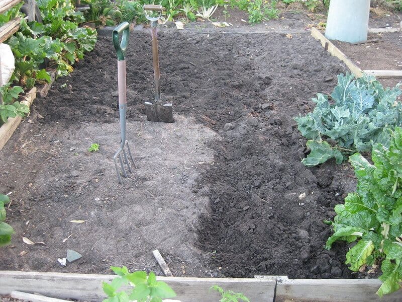How to prepare a vegetable garden from scratch