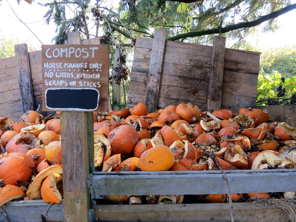 Pumpkin and Gourd Composting 