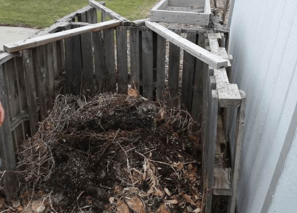 compost pile under sun