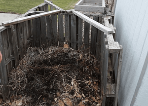 Can a Compost Pile Be In The Sun