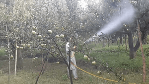 spray on apple tree