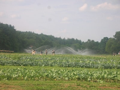 hoe irrigation