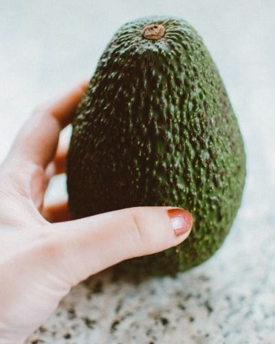 When to Pick Avocado from Tree